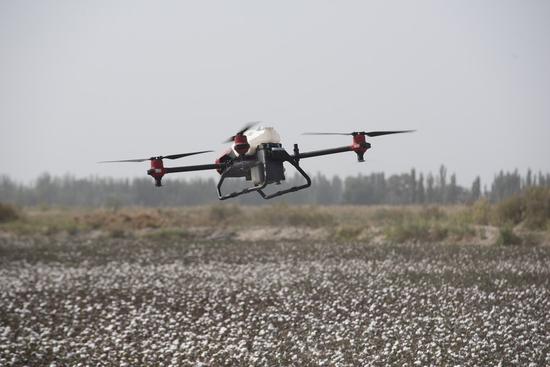 Modern agriculture gaining ground in Xinjiang's cotton fiel